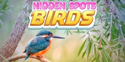 online ve ücretsiz Hidden Spots - Birds oyna