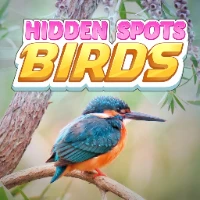  Hidden Spots - Birds 