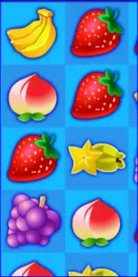  Summer Fruit 