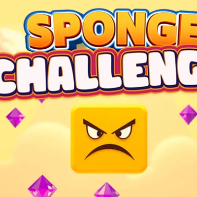  Sponge Challenge 