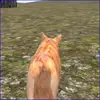 Wolf Simulator Forest Hunt 3D online oyun küçük