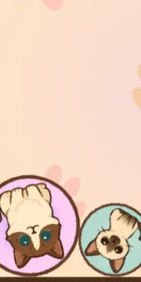  Cat Suika 